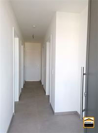 Appartement - TONGEREN-BORGLOON
