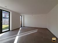 Appartement - TONGEREN-BORGLOON
