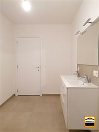 Appartement - TONGEREN-BORGLOON