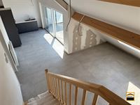 nieuwbouw appartement - BORGLOON