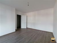 Appartement - TONGEREN-BORGLOON