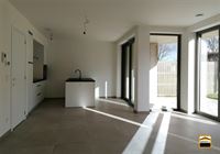 Appartement - TONGEREN-BORGLOON
