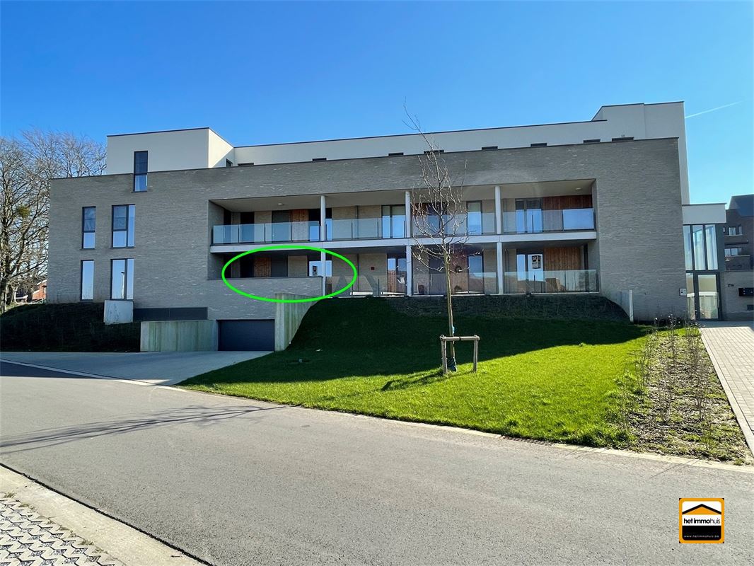 Appartement - TONGEREN-BORGLOON
