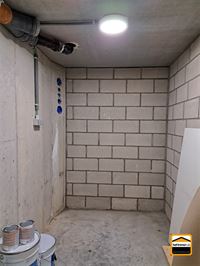 Duplex - TONGEREN-BORGLOON
