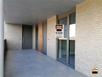 Appartement - TONGEREN-BORGLOON