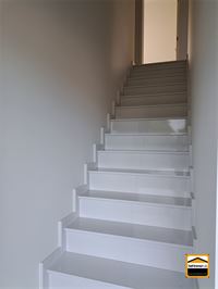 Duplex - TONGEREN-BORGLOON