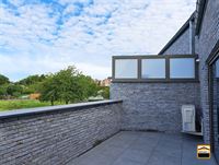 Duplex - TONGEREN-BORGLOON