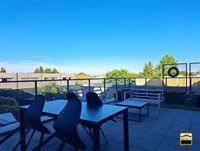 Appartement - BILZEN-HOESELT