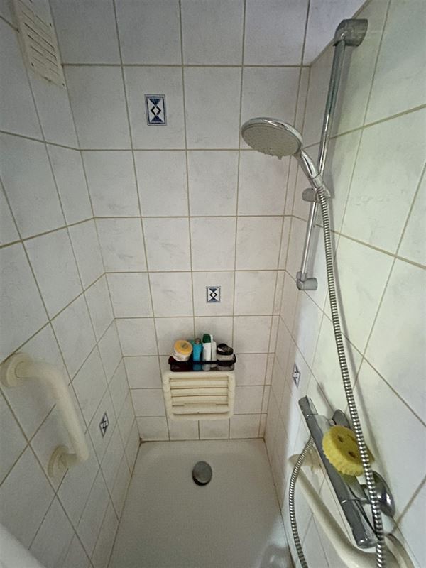 Fermette 3 ch. ou + avec appartement 3 ch., 15a 63ca