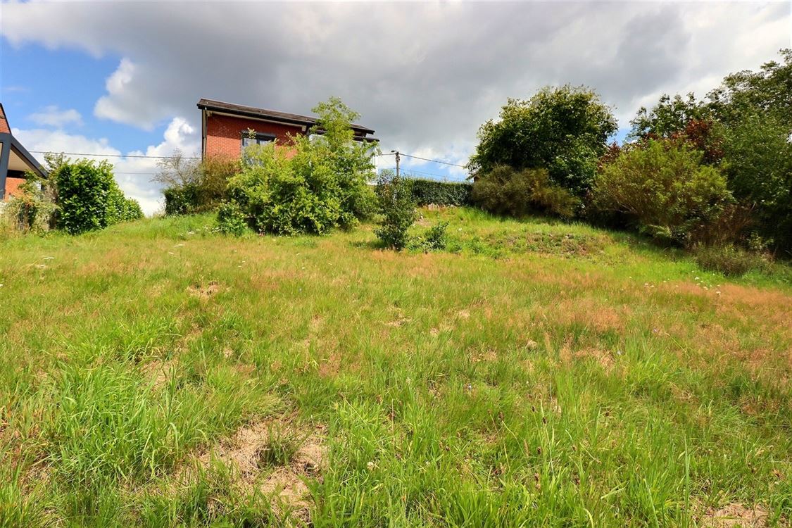 Villa/maison/ferme à BIOUL (4 chambres)
